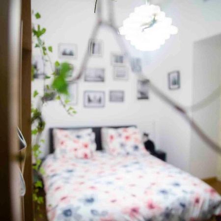 Fred'S Home Guest Room, Vieuxport, Climatise, Friendly Marseille Exteriér fotografie