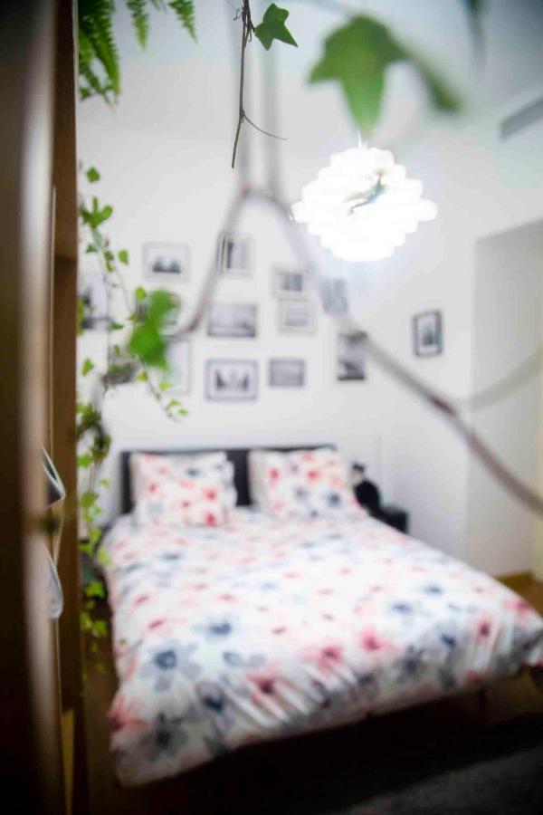 Fred'S Home Guest Room, Vieuxport, Climatise, Friendly Marseille Exteriér fotografie